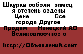 Шкурки соболя (самец) 1-я степень седены › Цена ­ 12 000 - Все города Другое » Продам   . Ненецкий АО,Великовисочное с.